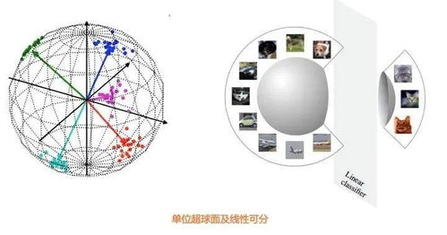 对比学习在CV与NLP领域的研究进展及自然科学应用